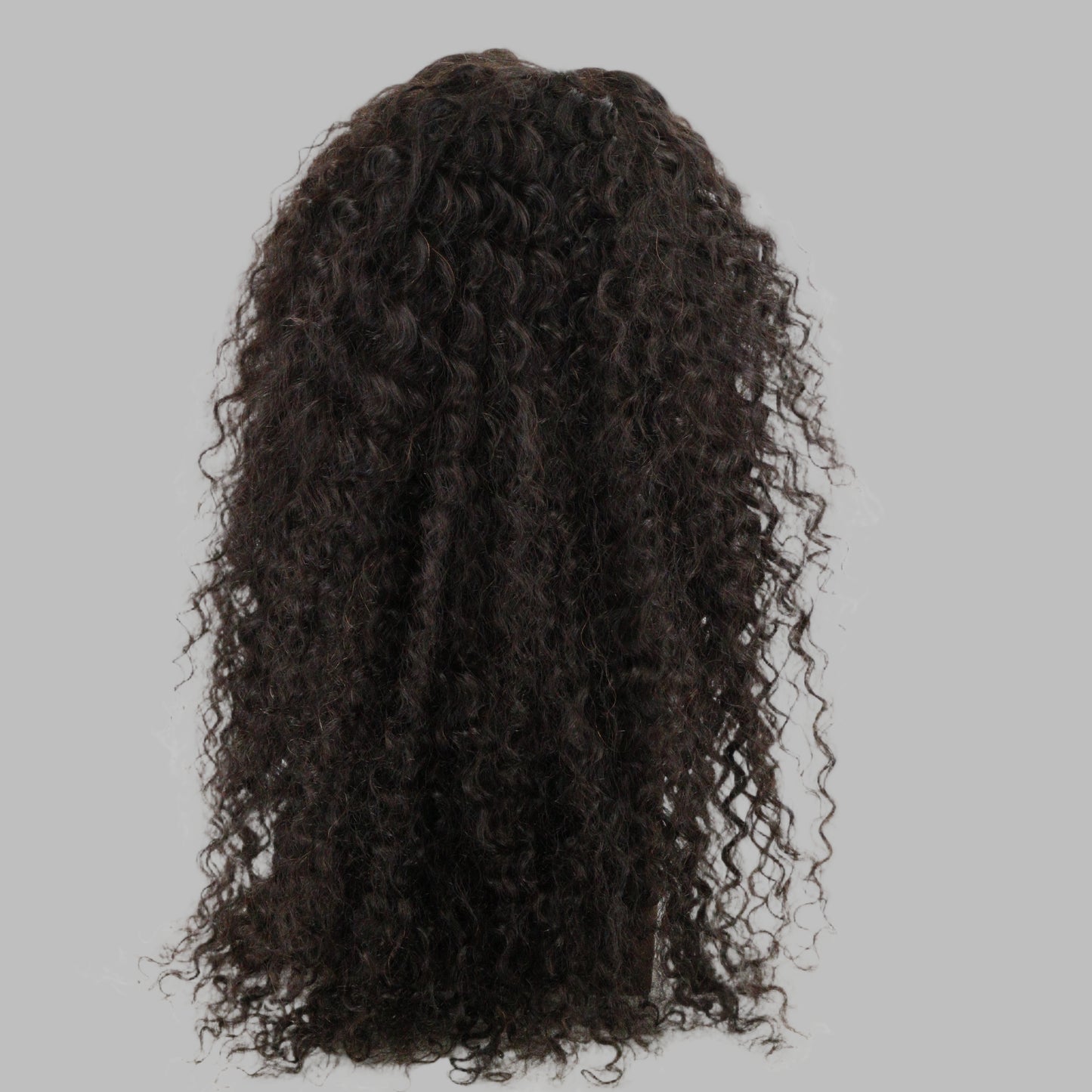 Ayana Curly 13X4  24inch Curly Wig Colour Dark Brown